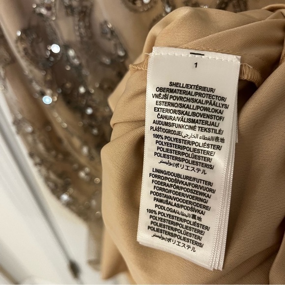 Adrianna Papell Tan and Silver Embellished Dress - Picture 12 of 12